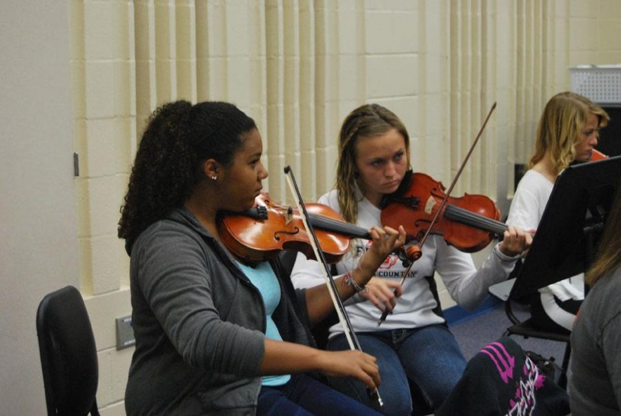 Orchestra concert reviewed by participants