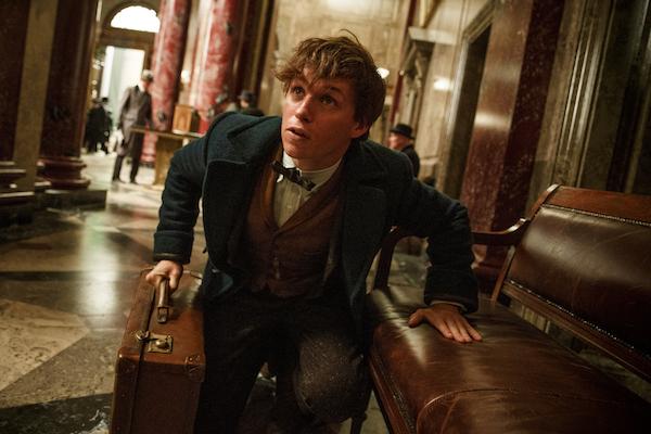 Eddie Redmayne as Newt Scamander in Fantastic Beasts and Where to Find them. Photo used with permission from Tribune News.