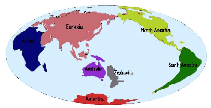 Location of Zealandia based on BBC. Graphic by Carolina Puga Mendoza