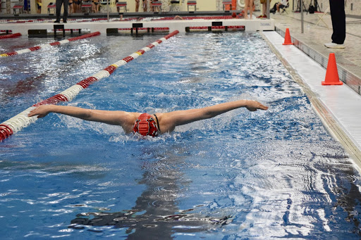 An FHS swimmer swims the butterfly stroke in the FHS natatorium.