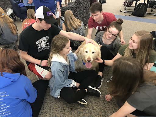 Students play with a golden retriever brought into the library after school on March 13. 