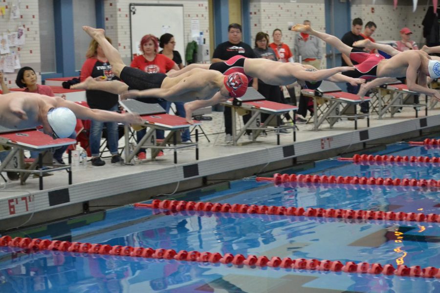 Boys dive in during 100m Freestyle at the Feb. 22 sectional at FHS. 