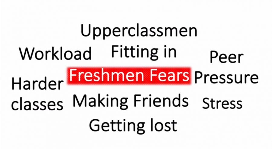 This list shows some possible fears that freshmen may have as they go into high school.