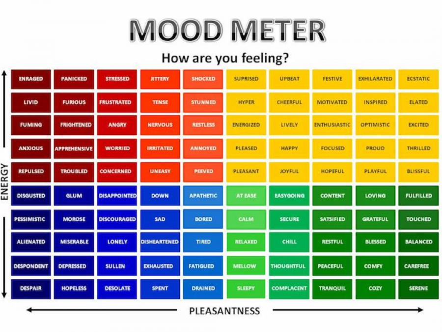 The mood meter, a resource used for determining how an individual feels, was introduced during SMaRT period classes this semester. The tool was developed by the Yale Center for Emotional Intelligences RULER Program.