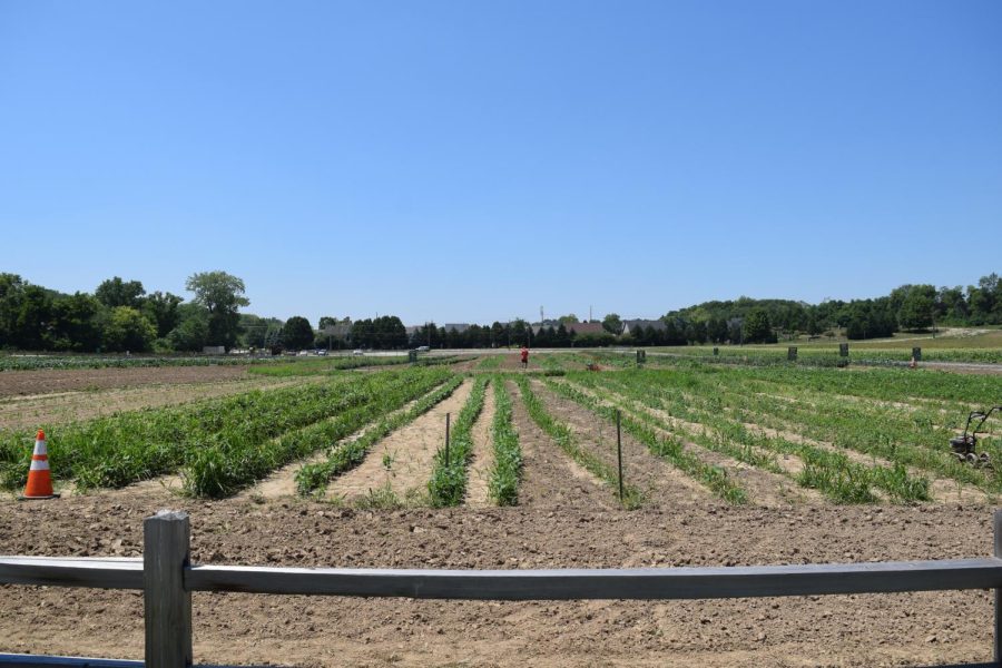 33+acres+of+community+farmland+at+Agripark+located+in+Fishers%2C+Indiana.
