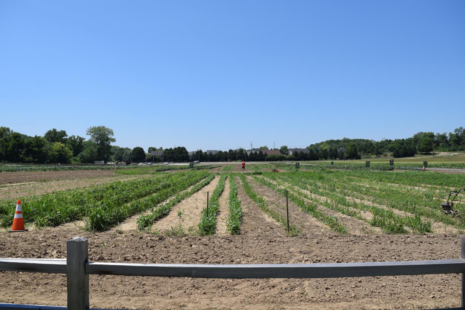 33 acres of community farmland at Agripark located in Fishers, Indiana.